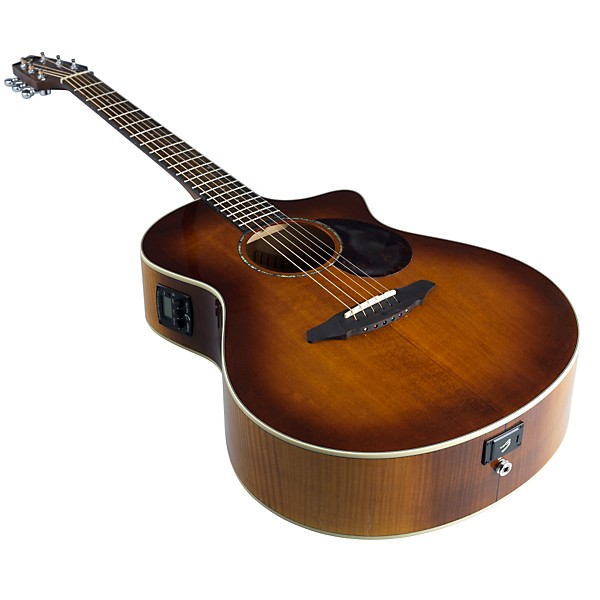 Open Box Breedlove Passport PLUS C250/SFe Acoustic-Electric