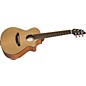 Breedlove Passport C250/CMe, T Travel Acoustic-Electric Guitar Natural thumbnail