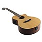 Breedlove Passport C250/CMe, T Travel Acoustic-Electric Guitar Natural