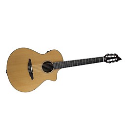 Breedlove Passport N250/COe Nylon String Acoustic-Electric Guitar Natural