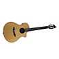 Breedlove Passport N250/COe Nylon String Acoustic-Electric Guitar Natural