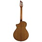 Breedlove Passport N250/COe Nylon String Acoustic-Electric Guitar Natural