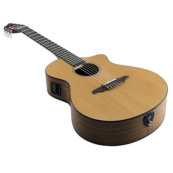 Breedlove Passport N250/COe Nylon String Acoustic-Electric Guitar Natural