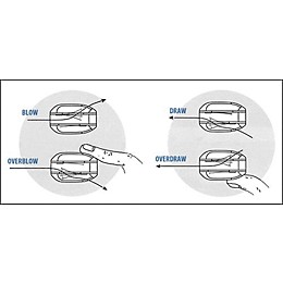 Suzuki OVERDRIVE HARMONICA C