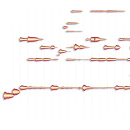 Celemony Melodyne editor Software