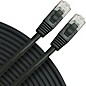 Rapco Horizon Oculus Cat5e Patch Cable Black 5 ft. thumbnail