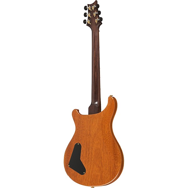 Platinum PRS 25th Anniversary Modern Eagle II Stoptail Bridge