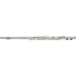Open Box Allora AAFL-229 Student Series Flute Model Level 2 Regular 190839140166