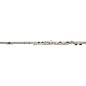Open Box Allora AAFL-229 Student Series Flute Model Level 2 Regular 190839140166 thumbnail