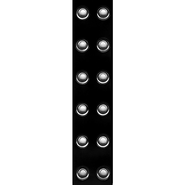 D'Addario Planet Waves 2" Leather Guitar Strap with Grommets