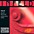 Thomastik Infeld Red Series 4/4 Size Violin Strings 4/4 S... Thomastik Infeld Red Series 4/4 Size Violin Strings 4/4 Size Set