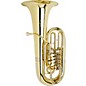 Meinl Weston 4450 Series 5-Valve 6/4 F Tuba 4450DE Lacquer Deluxe Hand Engraving thumbnail