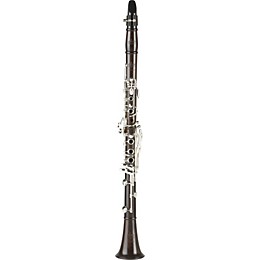 Open Box Allora Paris Series Professional Bb Clarinet Model AACL-913 Level 2  888365129754