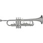 Open Box Blessing BTR-1277 Series Student Bb Trumpet Level 2 BTR-1277 Lacquer 190839515155 thumbnail