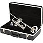 Open Box Blessing BTR-1277 Series Student Bb Trumpet Level 2 BTR-1277 Lacquer 190839550439