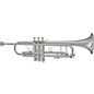 Blessing BTR-1580 Series Professional Bb Trumpet BTR-1580S Silver
