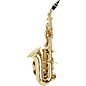 Open Box Allora Vienna Series Intermediate Curved Soprano Saxophone Level 2 AASC-503 - Lacquer 888365155944