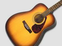 Acoustic Guitars
