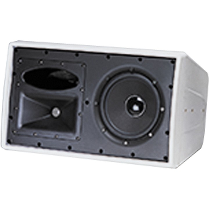 Lief Kolonisten Klas JBL C29AV-1 Control 2-Way Indoor/Outdoor Speaker White | Guitar Center