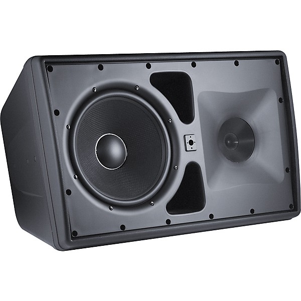 JBL Control 30 10" Three-Way Indoor/Outdoor Speaker Black