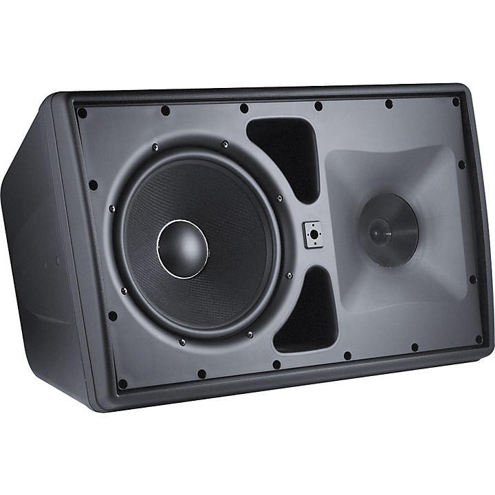 JBL Control 30 Three-Way Indoor/Outdoor Speaker Black