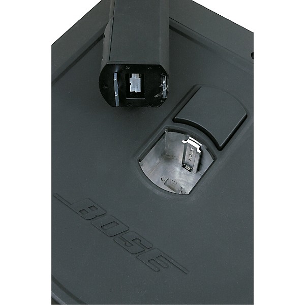 Bose L1 Model 1 Single System/Single Bass Package | Guitar