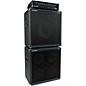 Acoustic B115 250W 1x15 Bass Cabinet