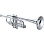 XO 1624S Professional Series C Trumpet Silver Rose Brass Bell thumbnail