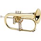 XO 1646 Professional Series Bb Flugelhorn Lacquer Yellow Brass Bell thumbnail