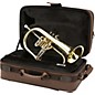 XO 1646 Professional Series Bb Flugelhorn Lacquer Yellow Brass Bell