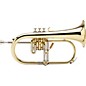 XO 1646 Professional Series Bb Flugelhorn Lacquer Yellow Brass Bell