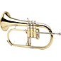 XO 1646 Professional Series Bb Flugelhorn Lacquer Yellow Brass Bell