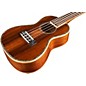 Open Box Lanikai NK-C Natural Koa Concert Ukulele Level 1 Gloss Natural
