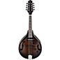 Ibanez A-Style Acoustic-Electric Mandolin Dark Violin Sunburst thumbnail