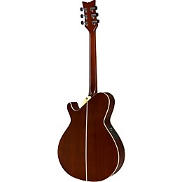 Daisy Rock Wildwood Artist Deluxe Acoustic-Electric Guitar Sunset Burst