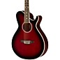 Open Box Daisy Rock Wildwood Artist Deluxe Acoustic-Electric Guitar Level 1 Royal Purple Burst thumbnail