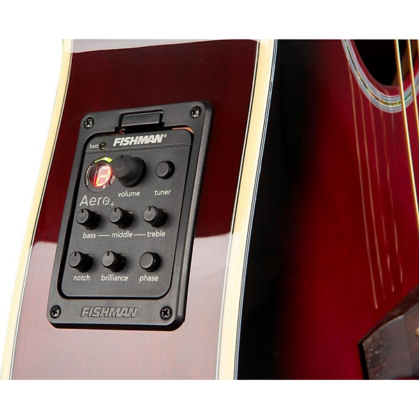 Open Box Daisy Rock Wildwood Artist Deluxe Acoustic-Electric Guitar Level 1 Royal Purple Burst