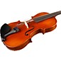 Open Box Ren Wei Shi Concert Model Violin Outfit Level 1 outfit 4/4 size