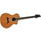 Breedlove Focus SE Special Edition Acoustic-Electric Guitar Natural