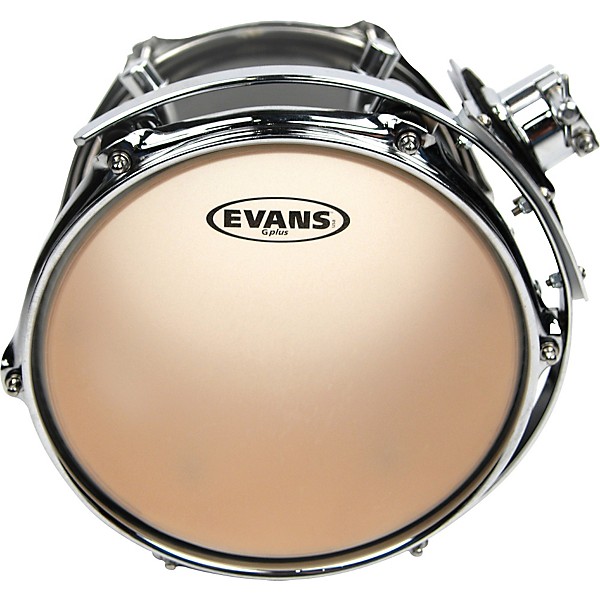 Evans G Plus Coated Drumhead 13 in.