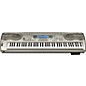 Casio WK-3300 Digital Keyboard Workstation