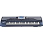 KORG Pa800 61-Key Professional Arranger Keyboard