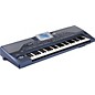 KORG Pa800 61-Key Professional Arranger Keyboard