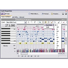 Sony ACID Pro 5 Recording and Loop Bundle