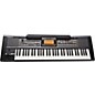Roland E-09 Interactive Arranger Electronic Keyboard - Factory