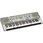 Casio LK300TV Lighted Key Keyboard