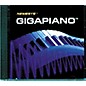 TASCAM Nemesys: GigaPiano Windows CD thumbnail