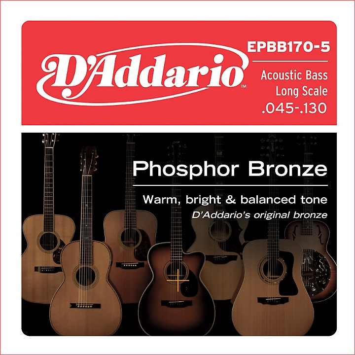 Feasibility radikal Kostumer D'Addario EPBB170-5 Phosphor Bronze, Long-Scale, 5-String Acoustic Bass  Guitar Strings | Guitar Center