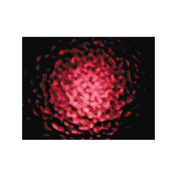 CHAUVET DJ CH-222 Abyss Jr.