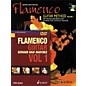 Schott Flamenco Guitar Method Volume 1 Book with CD and DVD thumbnail